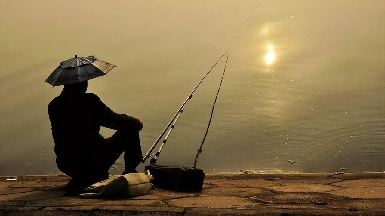 非法捕捞|怎样判断窝点内是否有鱼？教你3个确认技巧，从此钓鱼不迷茫