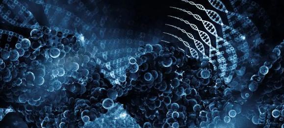 真能永葆青春?中国科学家:延缓衰老有重要发现