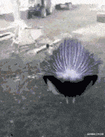 00后|耳机戴多了，耳朵好痛，而且里面还有液体，怎么办？