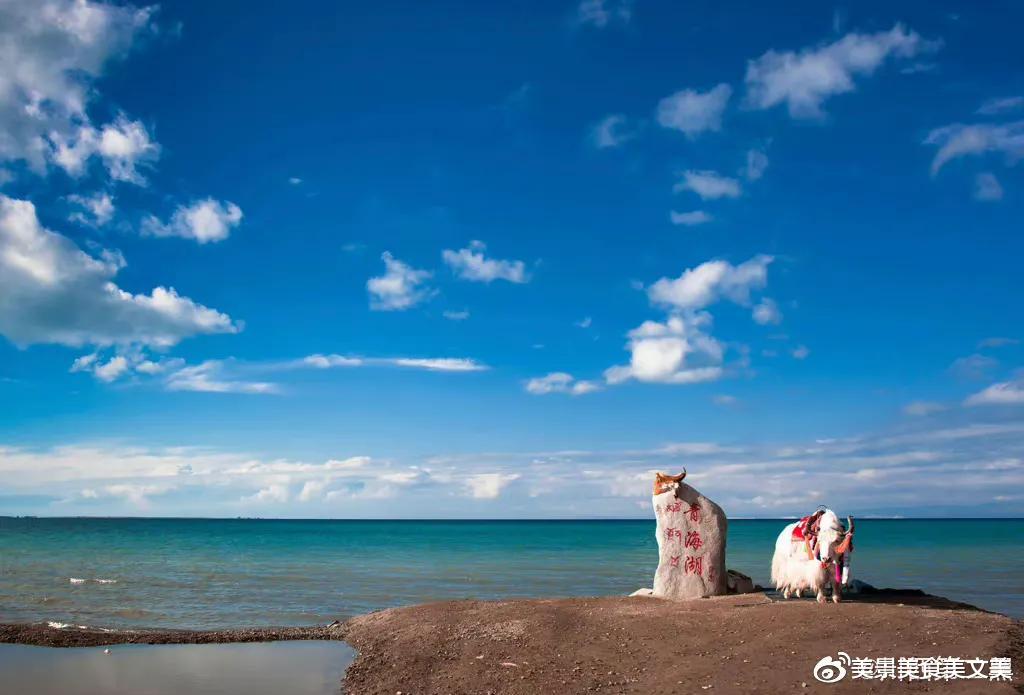 青海湖|啊！夏天，美丽的青海湖
