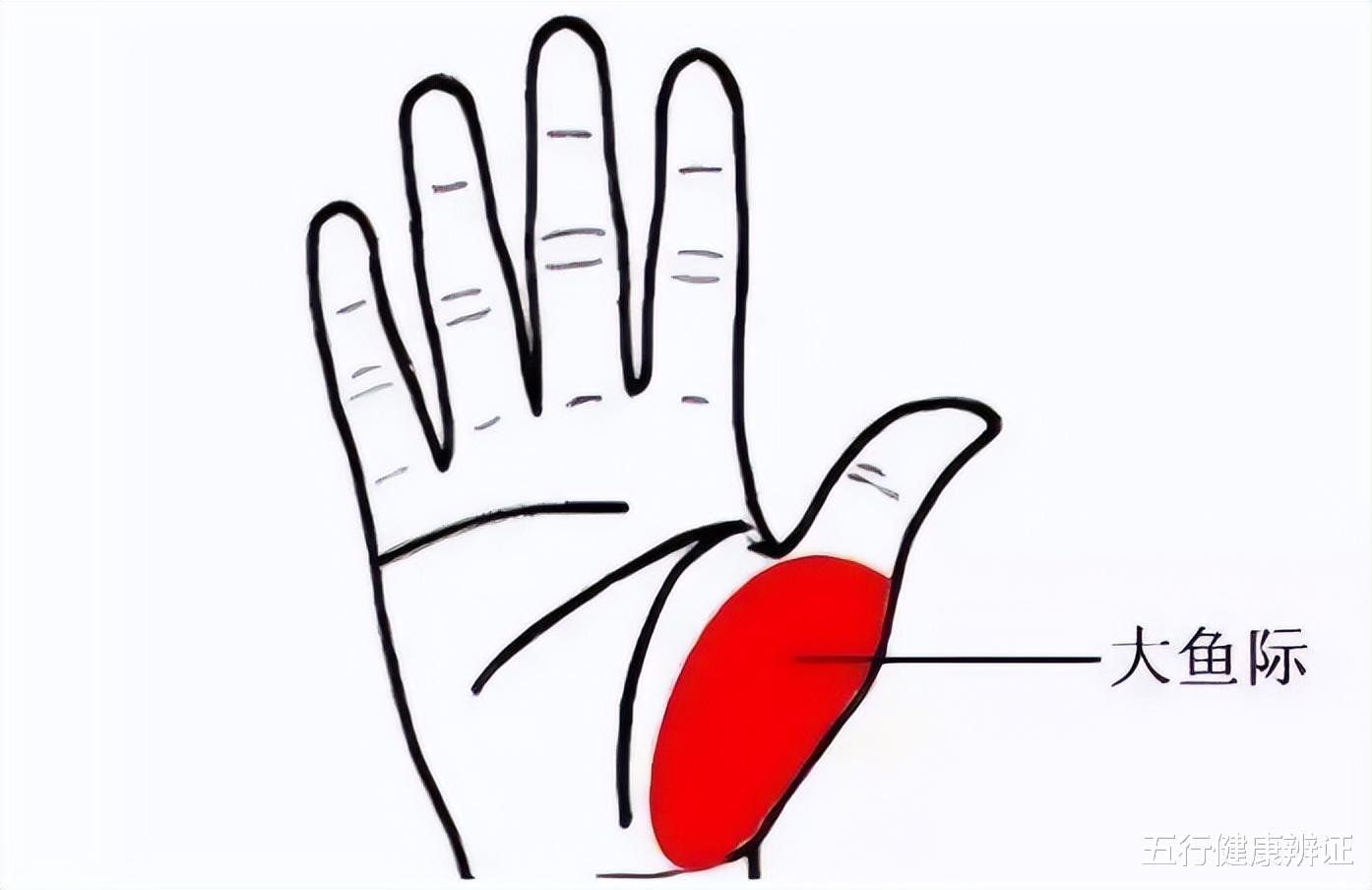 脾胃|手掌中的大鱼际，出现这2种异常，说明体内有寒、痛、赤、热