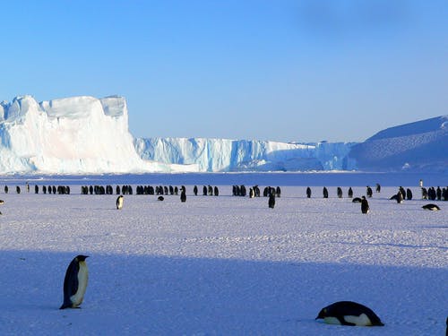 南极|我们能破解南极地区的气候密码吗？