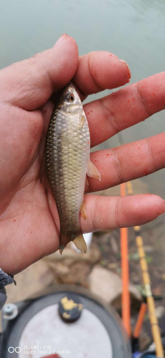 |北风呼啸寒风凛冽,通杀腥助我通杀小杂鱼