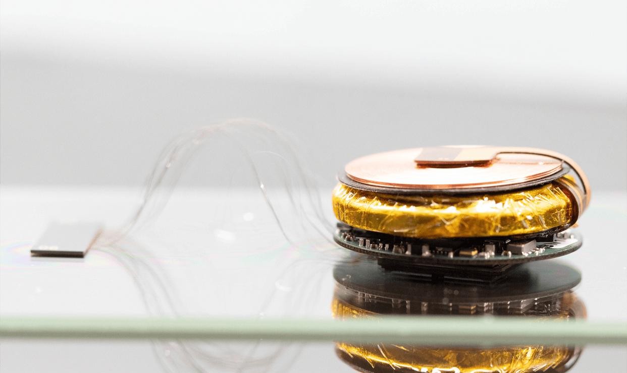 伊隆·马斯克|马斯克脑机公司发布会：让瘫痪的人恢复全身功能，让失明者看得见