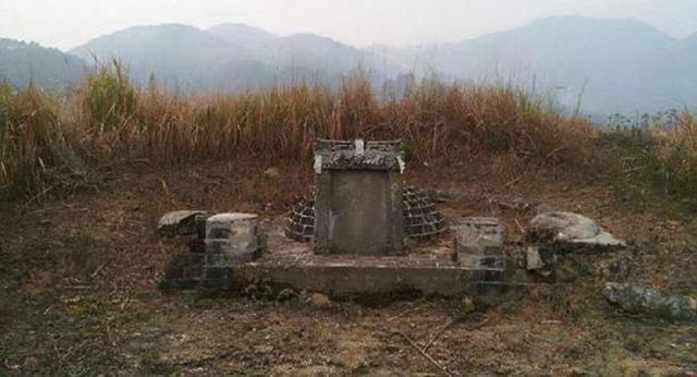 湖北捕蛇人在农田遭蛇群围攻,蛇群也会“报复”?
