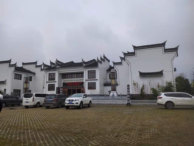 云台山|冬天喝什么茶？去云台山风景区的云上茶文化探一探