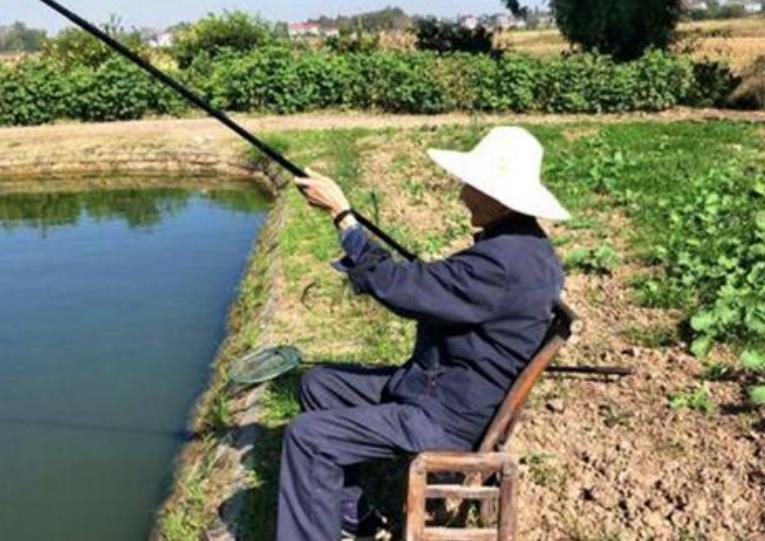 商朝|老汉垂钓时意外钓起“乌龟”，背上插着“四箭”，专家：它值18亿