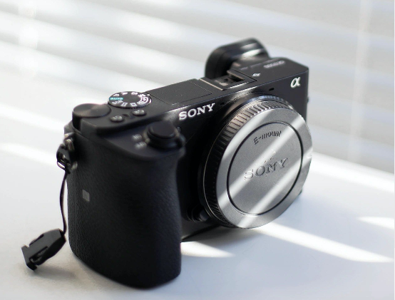 适马|高性价比镜头上手体验