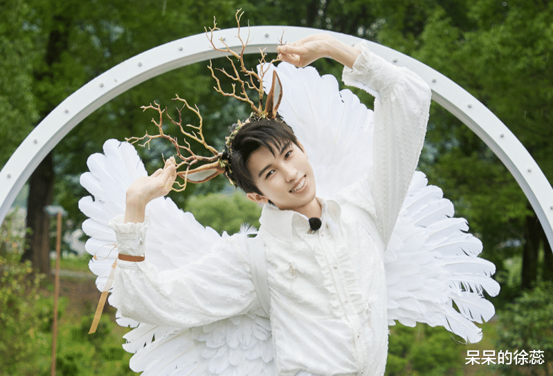 李诞|李诞的“坏”,林墨的“呆”,让新一期《登录圆鱼洲》终被夸!