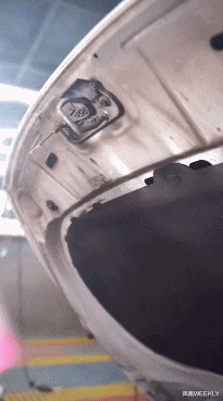 老中医 小毛驴“暴力”美甲：是谁爽翻了？