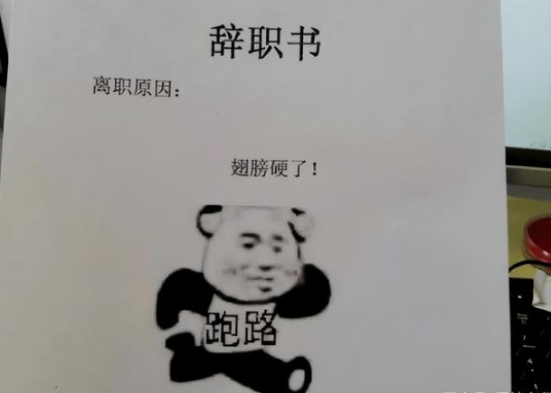 00后|“一个敢写,一个敢批”,00后离职申请书走红,省了好多面子工程