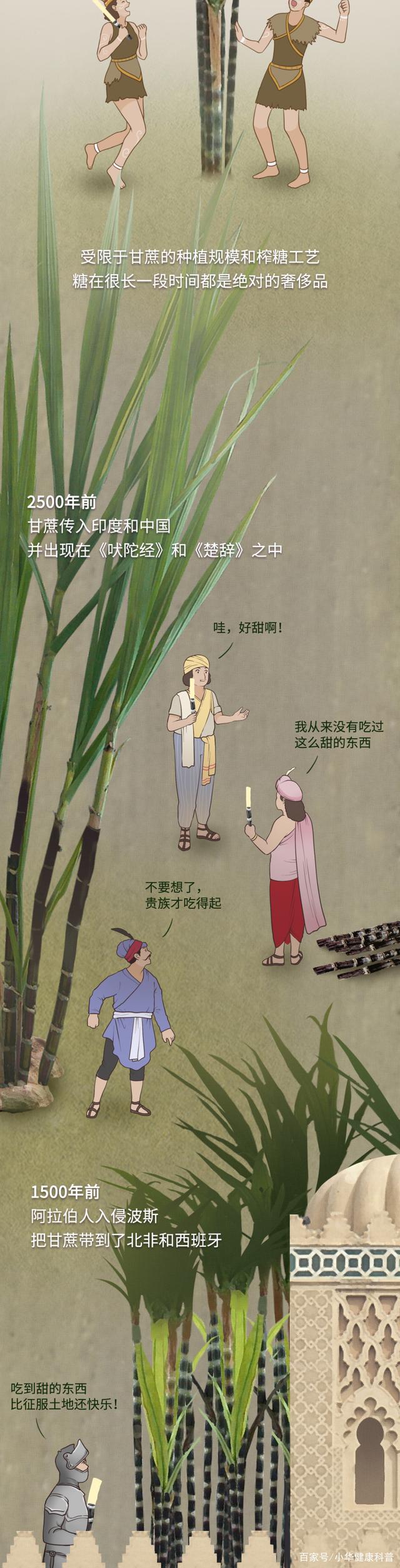 |为什么人会对糖上瘾，背后是“谁”在操控？一组漫画「揭秘」