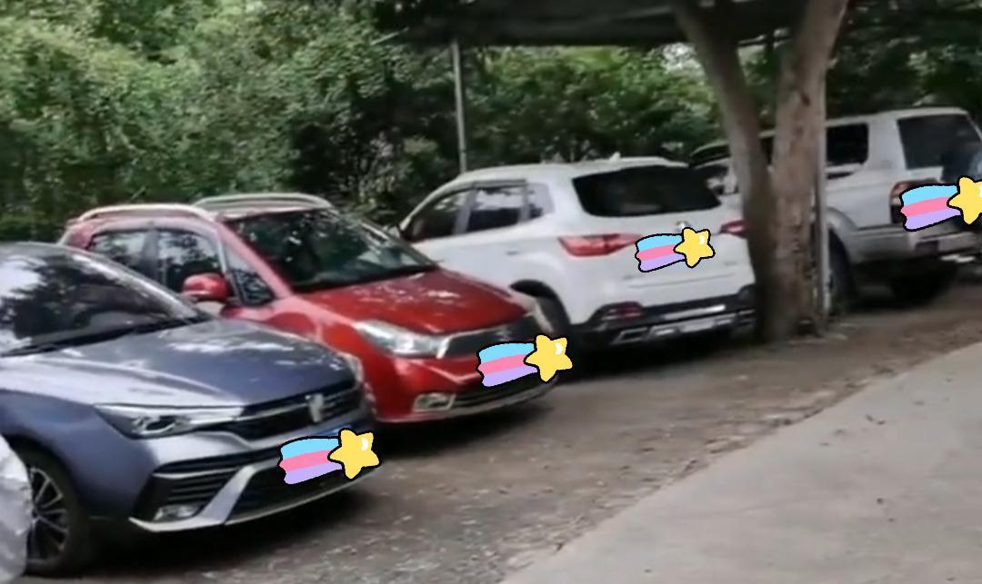 妻子打麻将被丈夫打,娘家来两桌人住了一个月,家养的鸡鸭全吃光