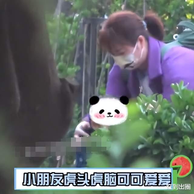 白百何|白百何一家三口出游被拍!老公张思麟首次抱娃露面,二胎儿子身高猛长