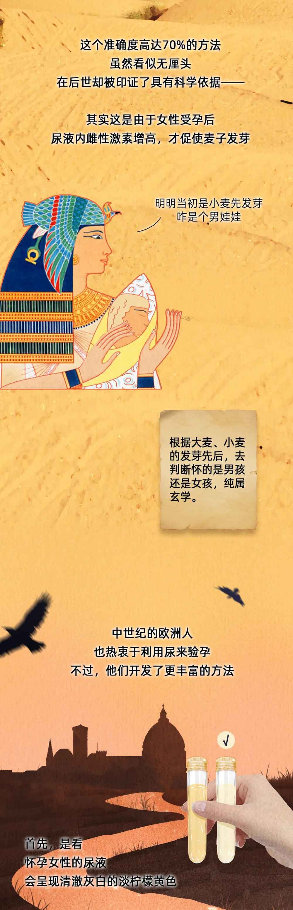 为了验孕,人类都用过哪些奇葩方法?为何灭绝了青蛙?(漫画)