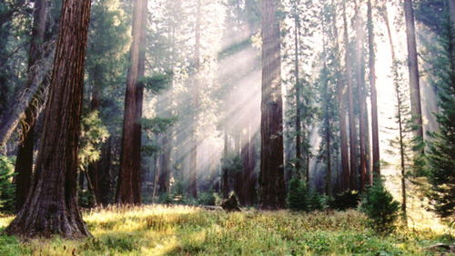 露营|这几个特别适合旅游的地方，让你感受不一样的特色。
