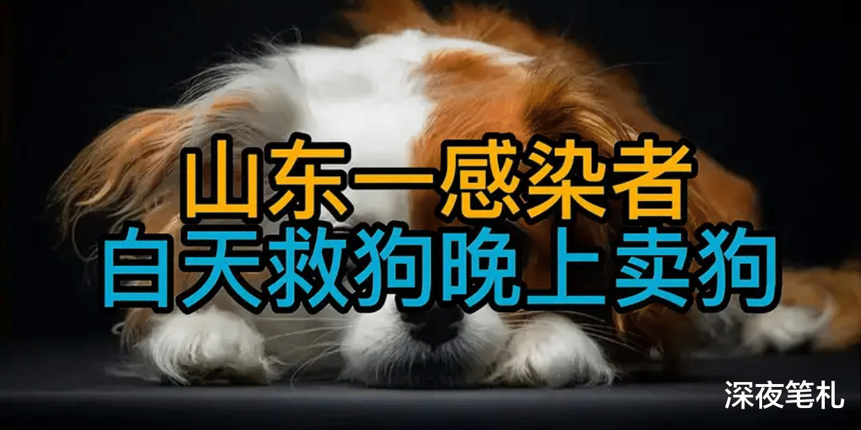 白天救助站救狗,晚上狗市卖狗!山东聊城一阳性患者流调引发关注