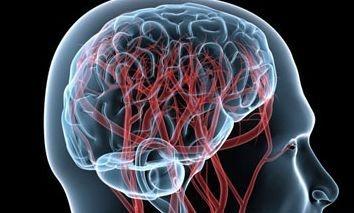 衰老|血压控制挺好,一年里却发生两次脑梗瘫痪在床,因为她犯了五个错