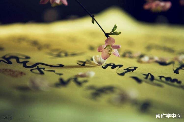 去火方里的“猛张飞”!心火、咽火、口火,一击即溃,粗中有细