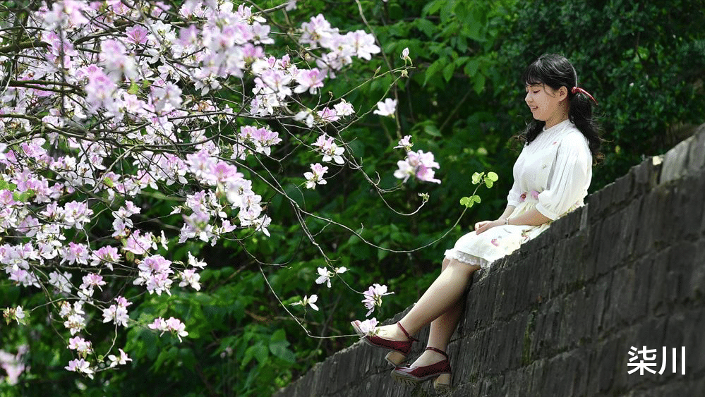 油菜花|美极了!这个春天一定要去的10个私藏的国内春日赏花处!赶紧收藏!