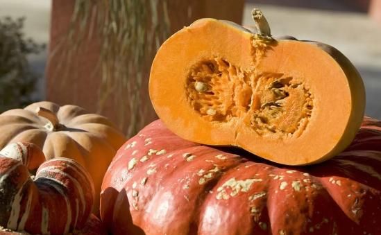 蜂蜜|坚持喝“蜂蜜水”,对胃有哪些影响?不妨看医生怎么说