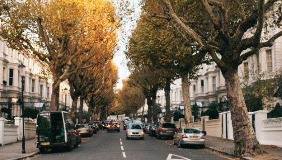 |人生错把运气当实力，职场错把平台当能力