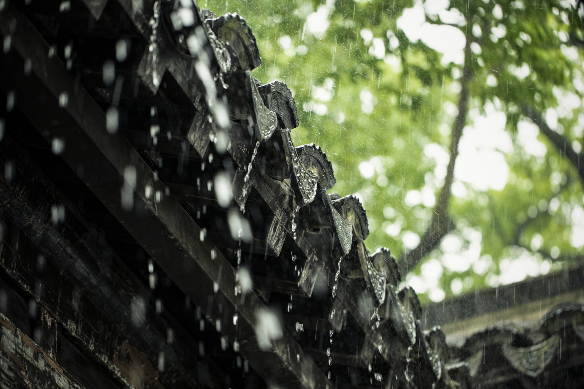 天空为什么会下雨？雨的形成过程是什么？看完涨知识了