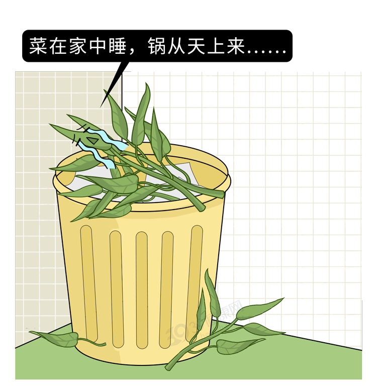 高血压|空心菜是“万毒之王”,重金属超标还致癌?2个实验告诉你答案