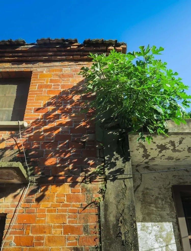 龙潭大峡谷|肥西这条老街，一幅迷人的水乡画卷～～