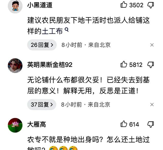 专家下“玉米地”考察,“铺地毯”行走