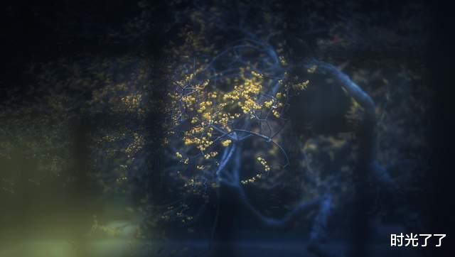 |职场上，一流的聪明人，往往看起来很“傻”