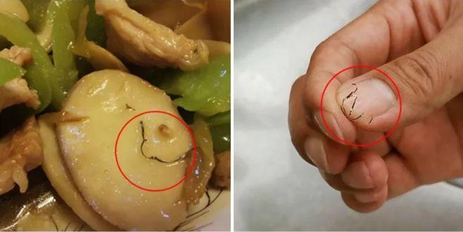 不锈钢锅烧焦了,发黄发黑擦不掉?试试我的方法,旧锅变新锅!