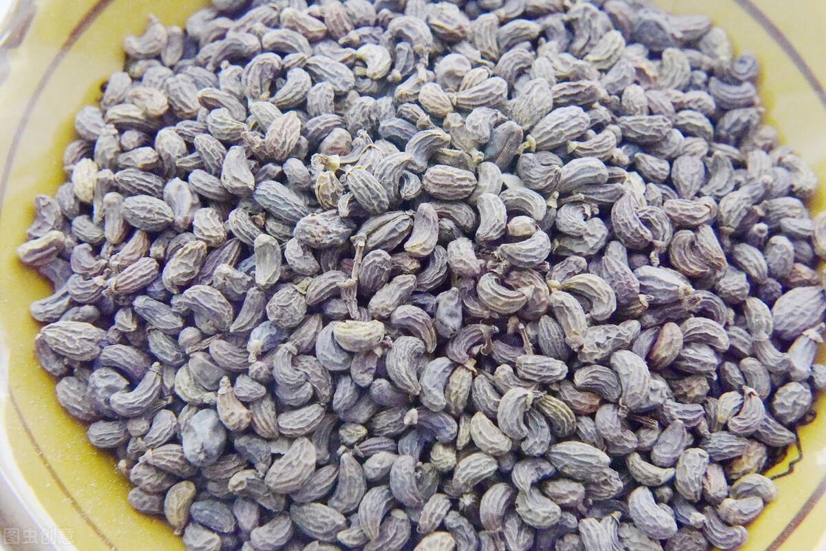 衰老|身体早衰多因肝肾不足？两味中药，补肝益肾、精血互生、强筋健骨