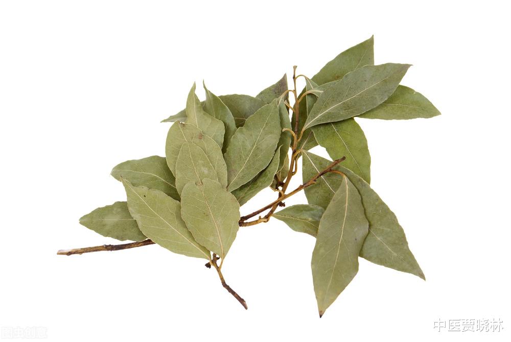 中成药|世上本无病，只是痰和瘀！送你一个中成药，通心、通肺、通血管！