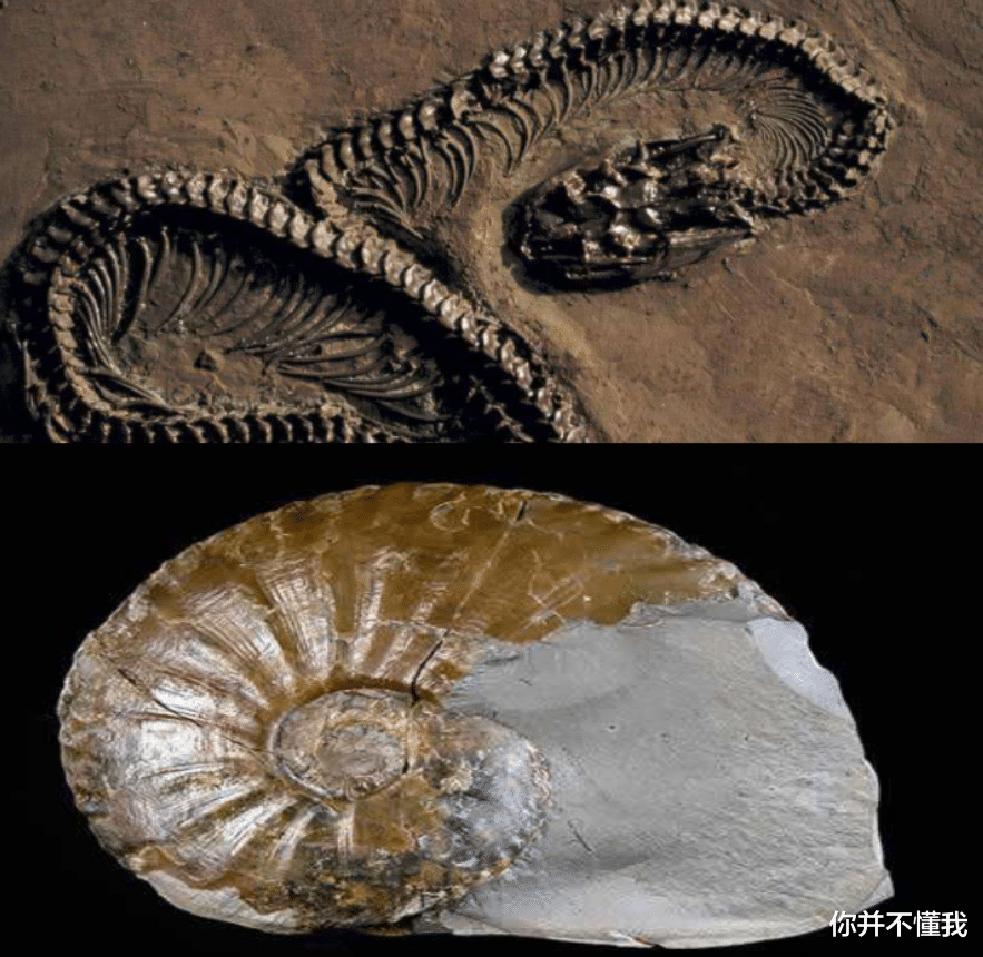 即使人类消失几十亿年,地球上这3样东西,仍然能够证明我们来过