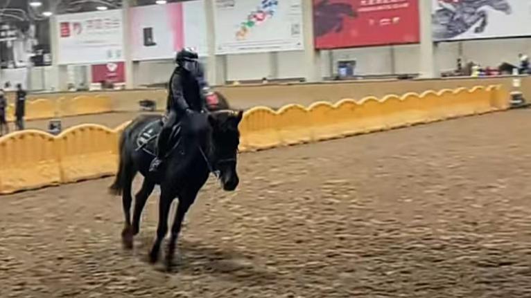 沈月|罗嘉良妻子罕晒娃！9岁女儿五官精致像爸爸，会骑马跳舞多才多艺