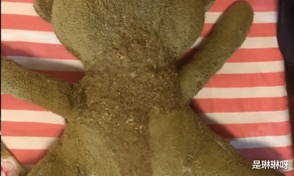 赵雅芝|修一只玩偶赚9060元！央媒接连点名，上海七旬网红朱柏明摊上事了