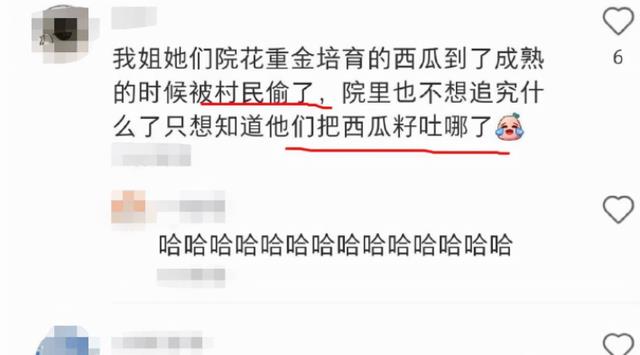 求职|农大的“挂科理由”多奇葩?种的西瓜被偷吃,老师也爱莫能助