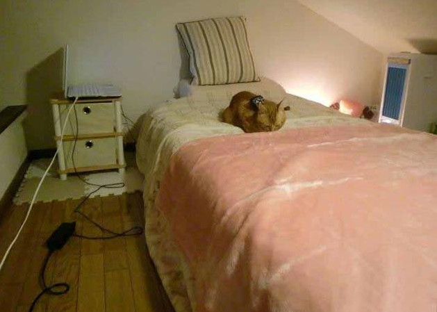 晒晒我在日本的出租房,每天睡觉都要爬楼梯,请叫我女汉子!