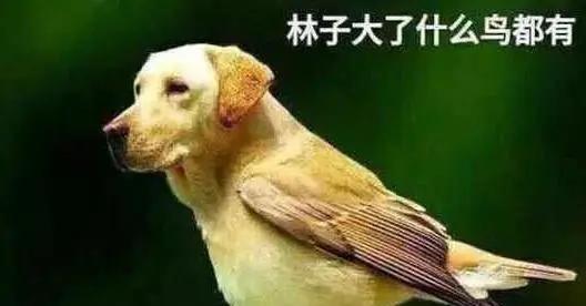 惊掉下巴!宁波准妈妈去相亲,却要求男生有房有车,并上交80%工资