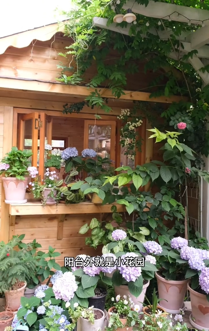 客厅|住不起大别墅,买栋一楼带花园的小洋房,也是个不错的选择