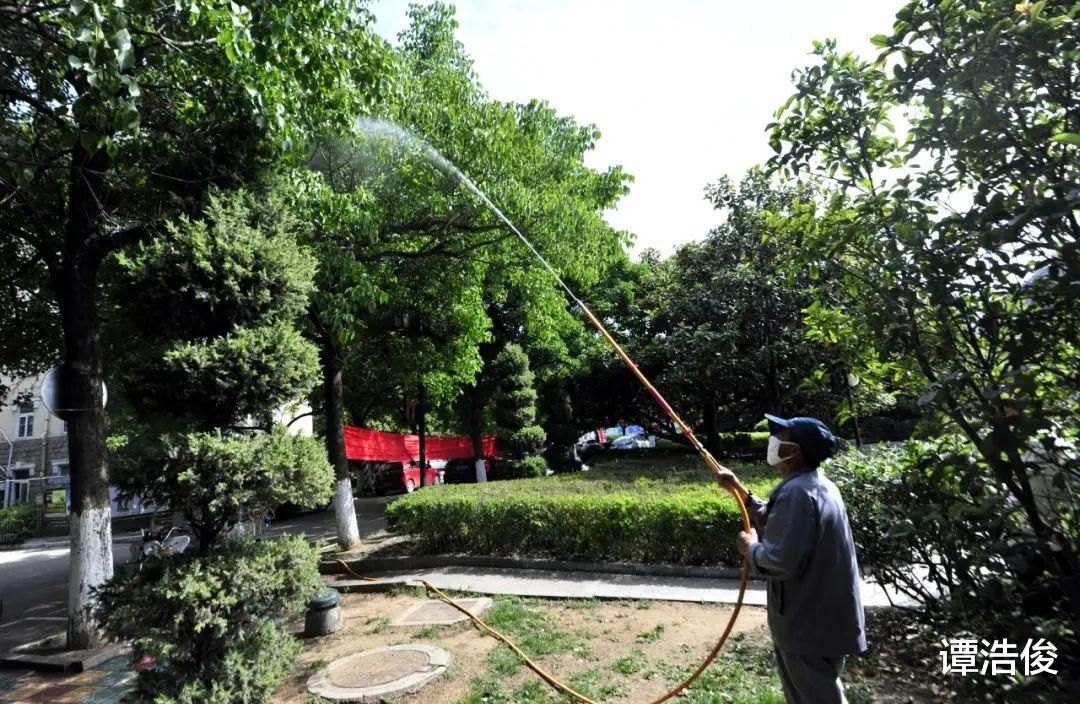 宁要“鸟屎袭车”,不要听不见鸟声