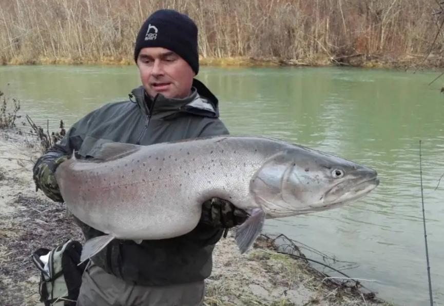 豆腐|请停止食用这4种鱼,可能含有甲醛和重金属,尤其要转告父母