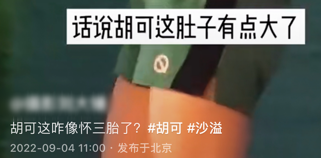 胡可|46岁胡可被曝高龄怀三胎,小腹凸起孕味十足,沙溢去年陷出轨风波