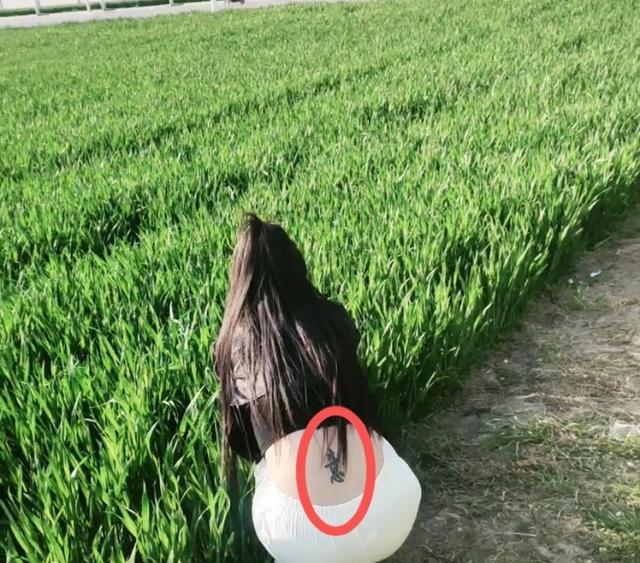 年轻女子田里拔草,衣着单薄,背上刺青显眼,网友:用意何在?