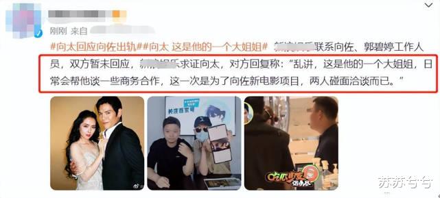 向太|向太再次强势回应，港媒全体沉默不报道，俩娱记何敢叫板向太？