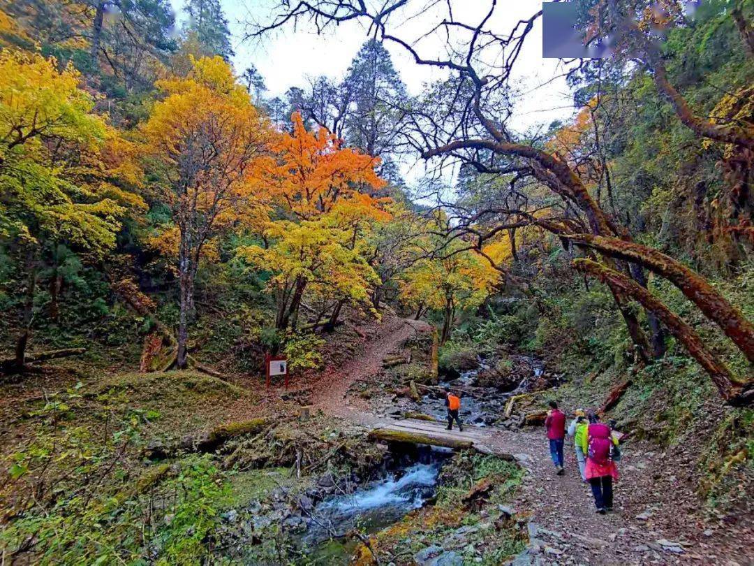 露营|香格里拉中的香格里拉在哪？这隐秘村落只有资深旅行者知道！