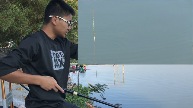 青鱼|钓鲤鱼用多长的子线?实钓多年得出结论,新手一看就懂