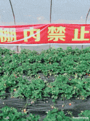 彩礼|“谈了6年的女友,丈母娘开口就要30多万彩礼”感觉我不配啊