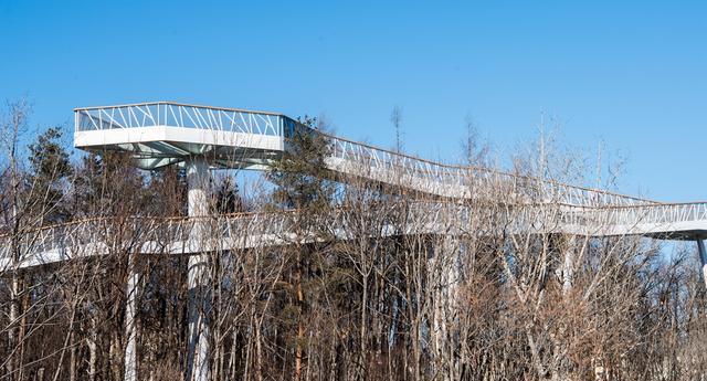 古镇|中国和朝鲜交界处有个二道白河镇,有珍稀美人松,还是旅游集散地